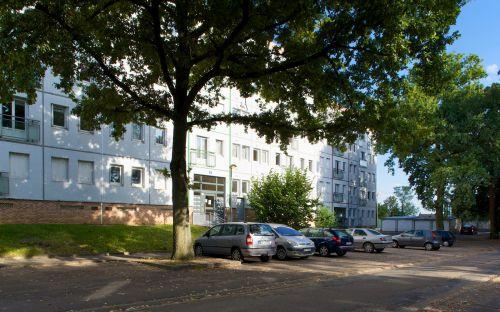 Appartement - VIERZON - CHER                     18 - Annonce immo: photo 1